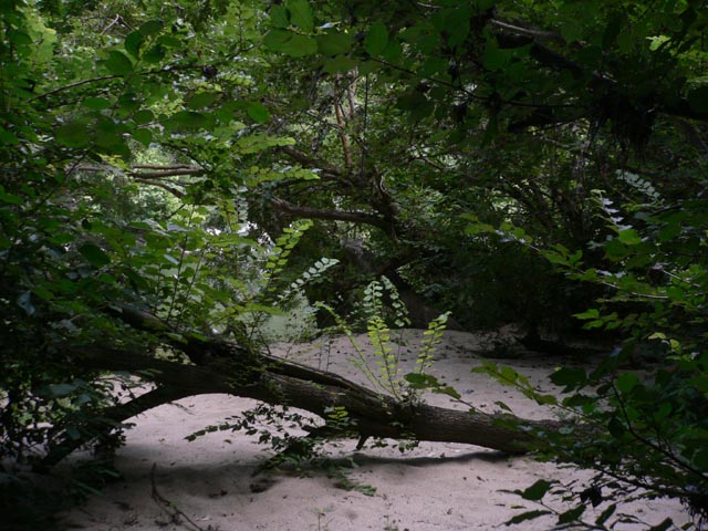f_20070623_144900