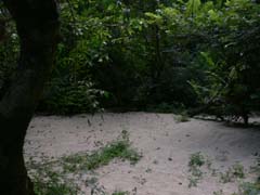 20070623_144832