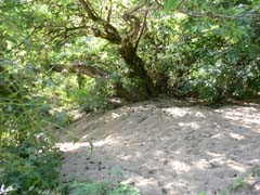 20070724_093744