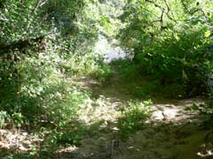 20070724_093834