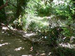20070724_093850