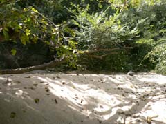 20070827_141150