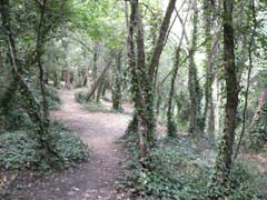a_20070623_145418