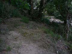 c_20070623_145010