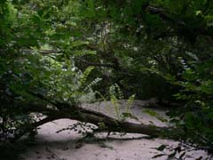 f_20070623_144900
