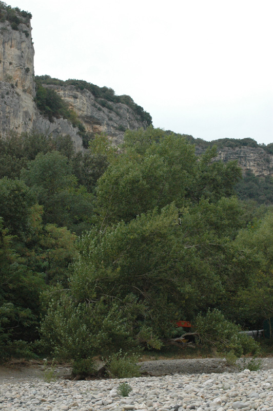 karin_58