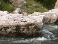 20070625_085224