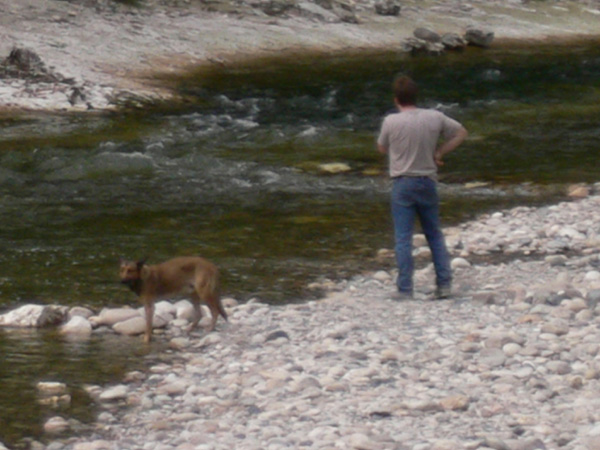 2005_682