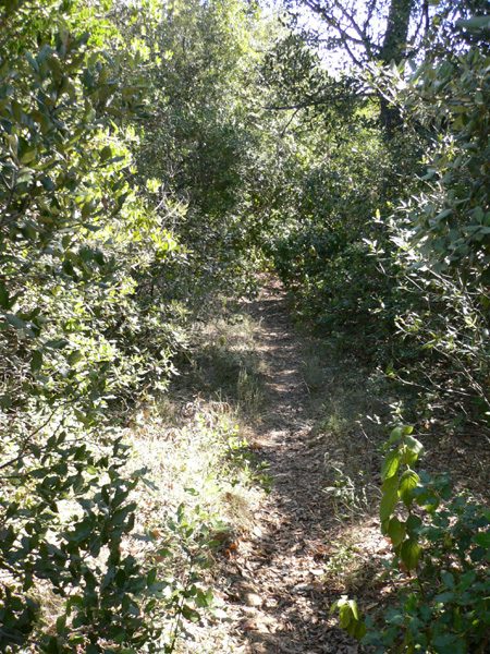 12_templiers_2005_279