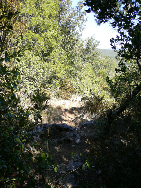 17_templiers_2005_272
