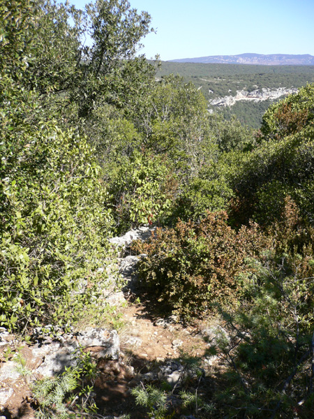 18_templiers_2005_271