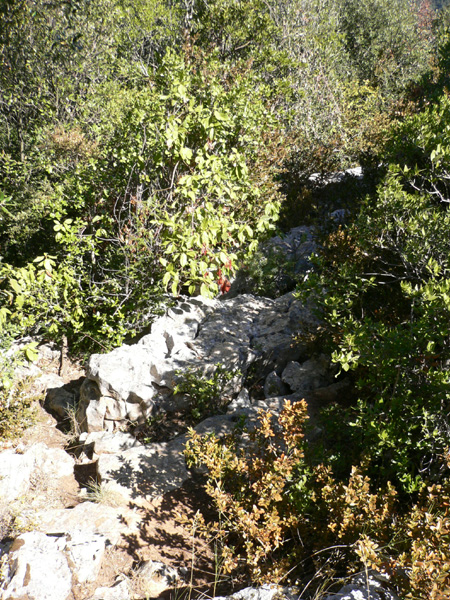 19_templiers_2005_270