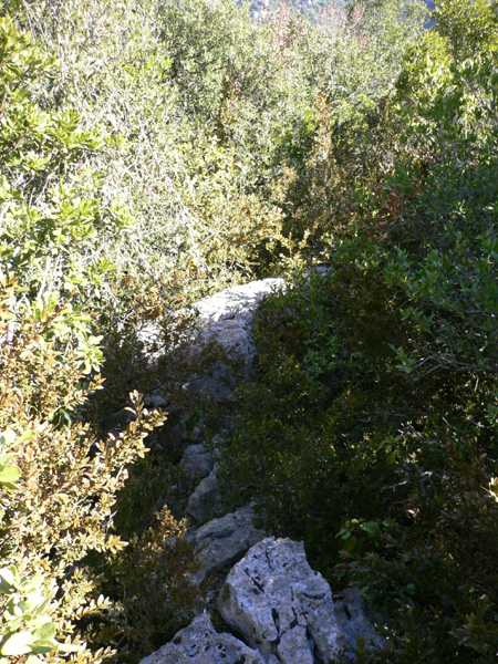 20_templiers_2005_269