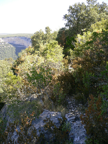 23_templiers_2005_266