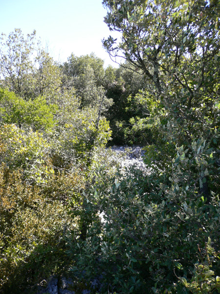 28_templiers_2005_261