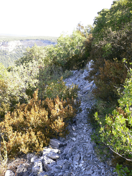 31_templiers_2005_258