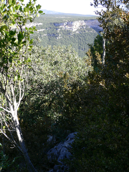 33_templiers_2005_256