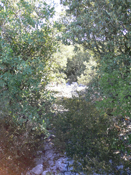 34_templiers_2005_255