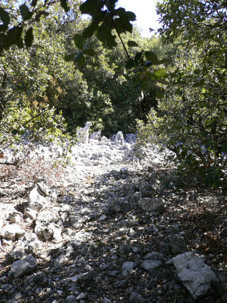 35_templiers_2005_254