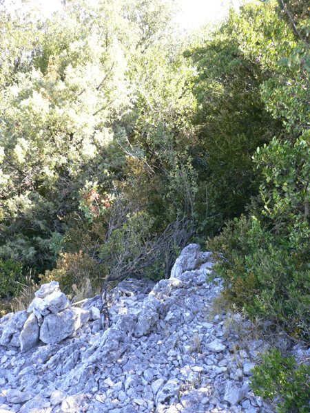 37_templiers_2005_252