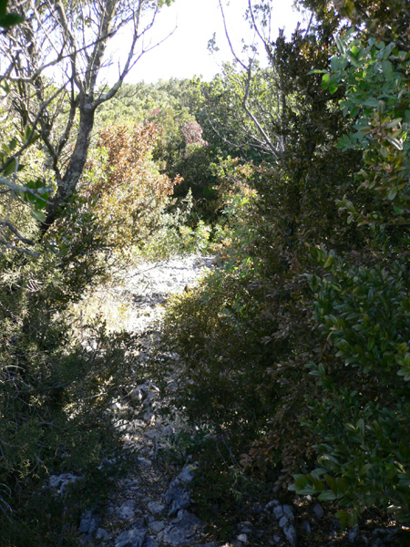 44_templiers_2005_245