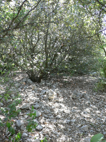 48_templiers_2005_241