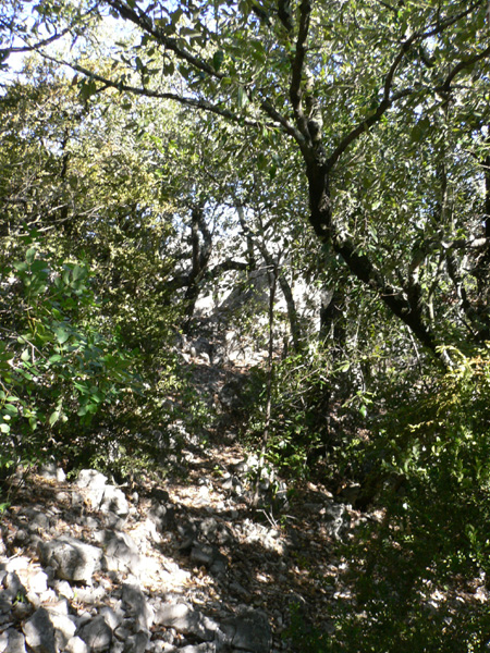 72_templiers_2005_217