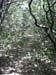 07_templiers_2005_284