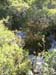 22_templiers_2005_267