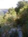 23_templiers_2005_266