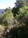 24_templiers_2005_265