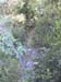 38_templiers_2005_251