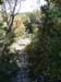 44_templiers_2005_245