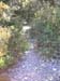 46_templiers_2005_243