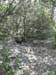 48_templiers_2005_241