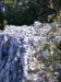 59_templiers_2005_230