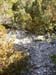 69_templiers_2005_220