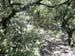 71_templiers_2005_218