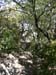 72_templiers_2005_217